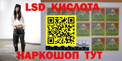 a pvp Кулебаки
