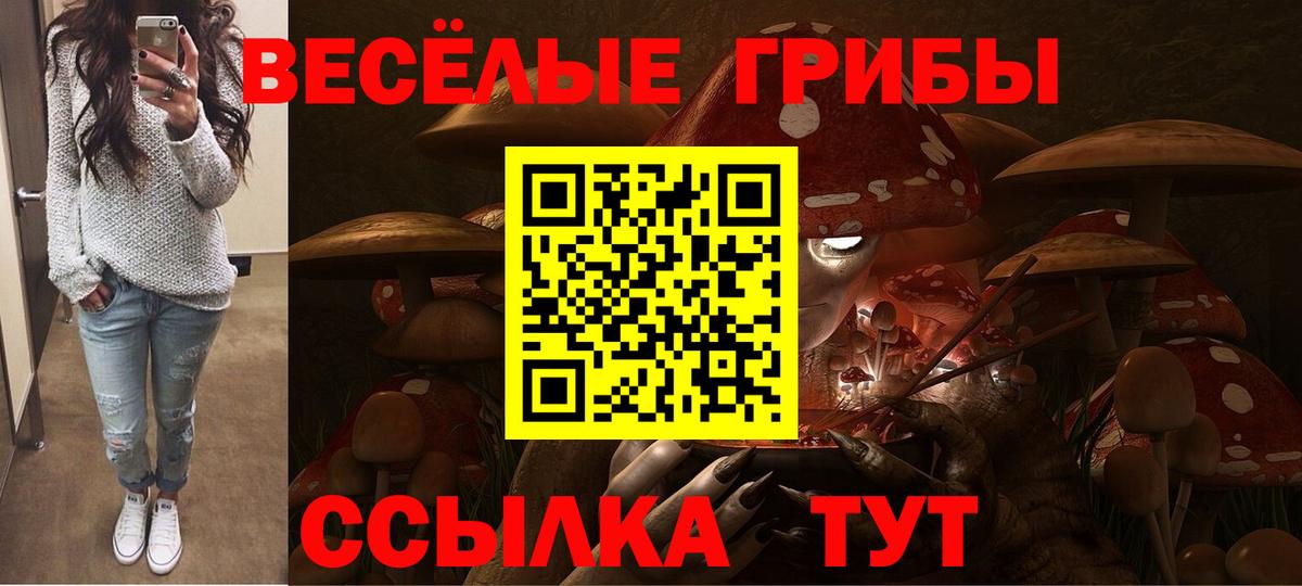Псилоцибиновые грибы мухоморы  Псилоцибиновые грибы MAGIC MUSHROOMS  Вход с VPN  Калач-на-Дону 